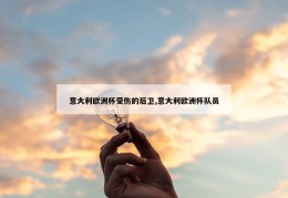 意大利欧洲杯受伤的后卫,意大利欧洲杯队员