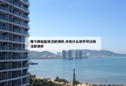 哪个网站能投注欧洲杯,手机什么软件可以投注欧洲杯