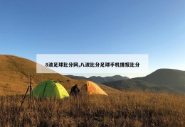 8波足球比分网,八波比分足球手机捷报比分