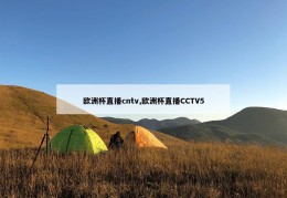 欧洲杯直播cntv,欧洲杯直播CCTV5