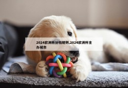 2024欧洲杯分档规则,2024欧洲杯主办城市