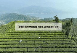 欧洲杯荷兰主场在哪个城市,荷兰欧洲杯荷兰