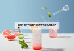 欧洲杯积分对战图片,欧洲杯积分对战图片大全