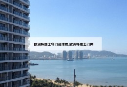 欧洲杯瑞士守门员球衣,欧洲杯瑞士门神