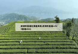 欧洲杯直播比赛直央视,欧洲杯直播cctv5直播2021