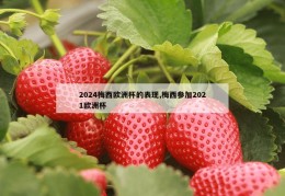 2024梅西欧洲杯的表现,梅西参加2021欧洲杯