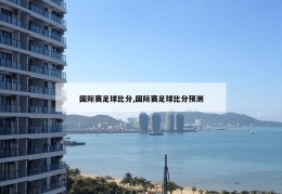 国际赛足球比分,国际赛足球比分预测