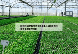 欧洲杯俄罗斯芬兰分析结果,2021欧洲杯俄罗斯对芬兰分析